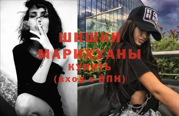 стаф Богородск