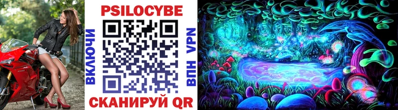Псилоцибиновые грибы Psilocybine cubensis  Грозный 
